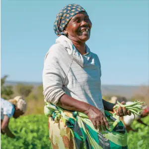 Organization Annual Report