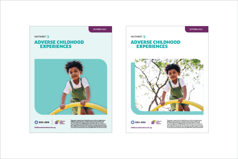 CSN Fact Sheet design options