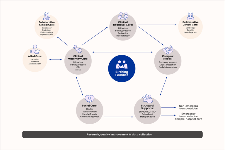 Community Birth and Doula Initiative infographic